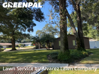 Lawn Mowin Altamonte Springs,32714,Lawn Mow by Alvarez Lawn Company, work completed in Dec , 2025
