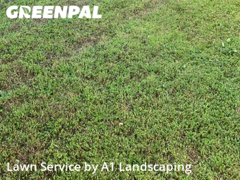 Lawn Cut nearby Bentonville, AR, 