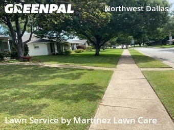 Lawn Care nearby Dallas, TX, 