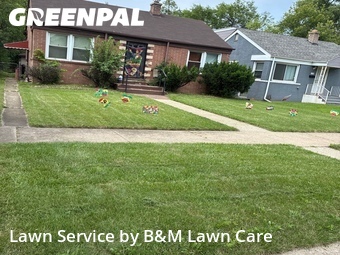 Lawn Mow nearby Gary, IL, 