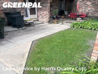 Yard Mowing nearby South Chicago Heights, IL, 