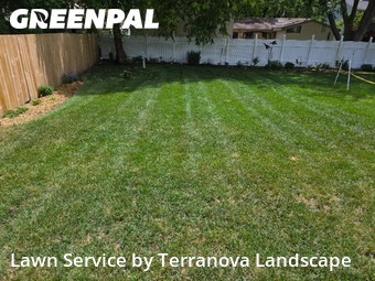 Lawn Cuttingin Elgin,60120,Lawn Mow by Terranova Landscape, work completed in Nov , 2025