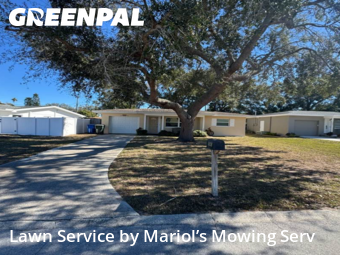 Yard Cutting nearby Largo, FL, 