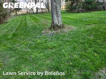 Lawn Care Service nearby Delaware, OH, 
