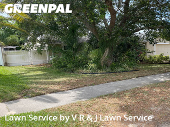 Lawn Mow nearby Palm Harbor, FL, 