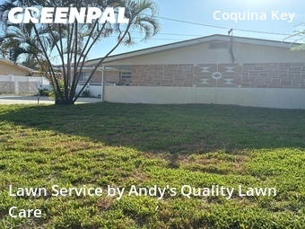 Grass Cut nearby St. Petersburg, FL, 