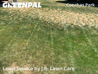 Lawn Care Service nearby Albuquerque, NM, 
