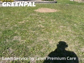 Lawn Cut nearby Bellevue, NE, 