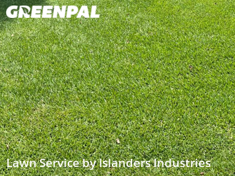 Grass Cutting nearby Baton Rouge, LA, 