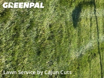 Lawn Carein Murfreesboro,37130,Lawn Cut by Cajun Cuts, work completed in Jun , 2026