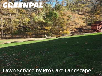 Lawn Mow nearby Harrisburg, NC, 