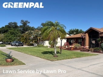 Lawn mowing work completed in Venice, CA