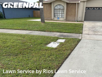 Grass Cut nearby Orlando, FL, 