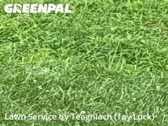 Yard Mowingin Marietta,30066,Lawn Maintenance by Teaghlach (Tay Luck), work completed in Jun , 2026