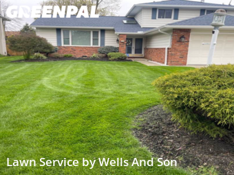 Grass Cutting nearby Mayfield Heights, OH, 