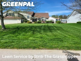 Grass Cutin Bedford,44146,Lawn Mowing by Strib The Grasshopper, work completed in Jun , 2026
