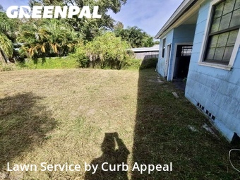 Lawn Cut nearby Clearwater, FL, 