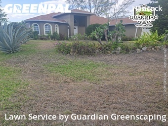 Yard Cutting nearby Cape Coral, FL, 