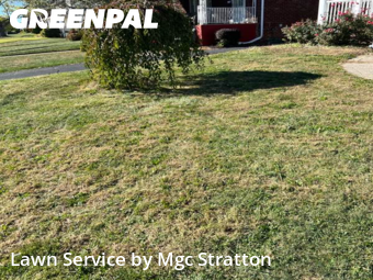 Lawn Care in Garfield Heights, 44125, Grass Care by Mgc Stratton, work completed in Nov , 2025