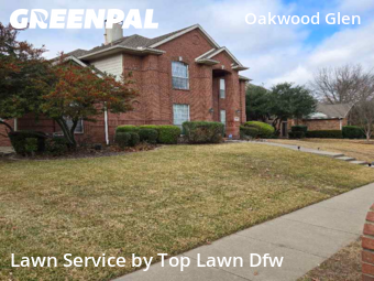 Lawn Mowingin Plano,75025,Yard Cutting by TOP LAWN DFW, work completed in Feb , 2026