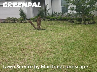 Yard Cutting nearby Clermont, FL, 