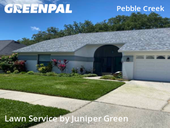 Grass Cut nearby Tampa, FL, 