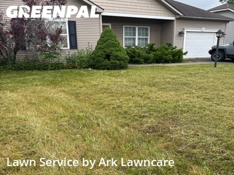 Lawn mowed in Schenectady, 12306