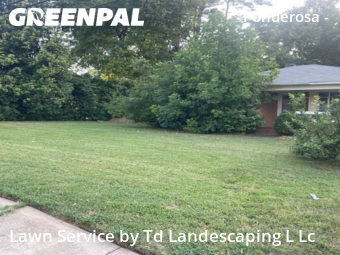 Lawn Mowing Service nearby Charlotte, NC, 