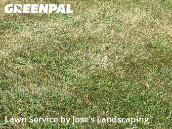 Lawn Care nearby Ashburn, VA, 