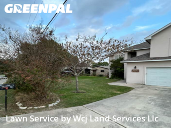 Lawn Cutin New Braunfels,78130,Lawn Service by Wcj Land Services Llc, work completed in Dec , 2025