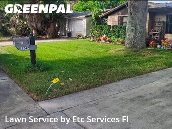 Yard Cutting nearby Holiday, FL, 