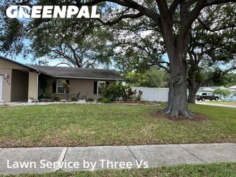 Grass Cut nearby Dunedin, FL, 
