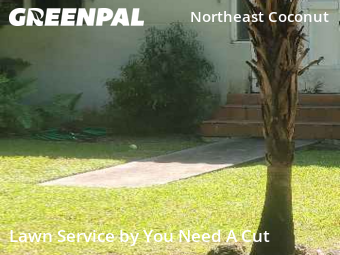 Lawn Cutting nearby Miami, FL, 