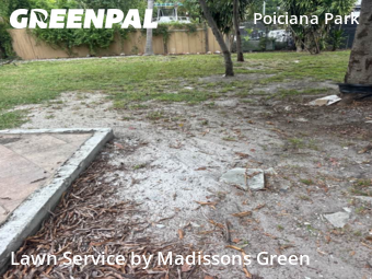 Backyard Mowing in West Palm Beach, 33405, Grass Services by Madissons Green, work completed in Nov , 2025