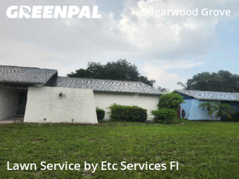 Lawn Mowing Service nearby Tampa, FL, 