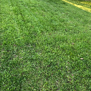 affordable-lawn-services-in-Wauwatosa-WI