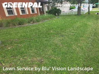 Lawn Mow nearby Tampa, FL, 