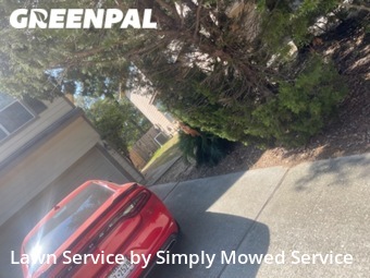 Lawn Maintenance nearby The Woodlands, TX, 