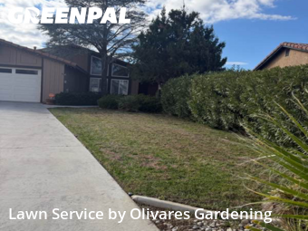 Landscapers In Lancaster,93536,Landscapers by Olivares Gardening , work completed in Jan , 2026