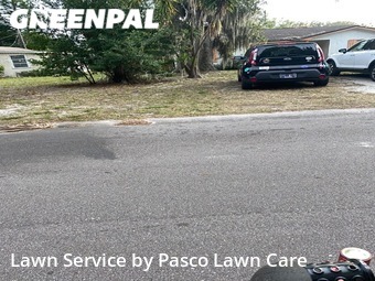 Lawn Mowing Service nearby Palm Harbor, FL, 