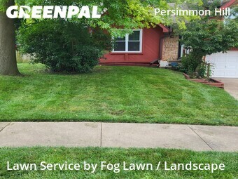 Lawn Cut nearby Olathe, KS, 