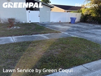Lawn Mowing Service nearby Tampa, FL, 