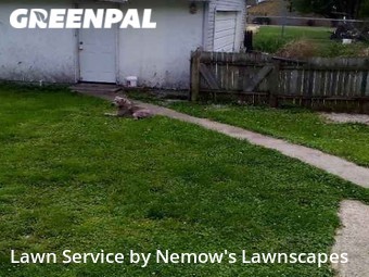 Yard Cutting nearby Sharpsville, IN, 