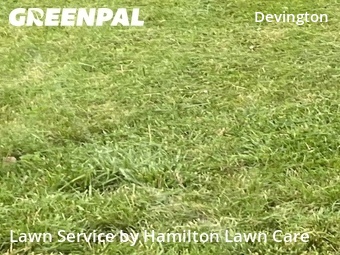 Yard Mowing nearby Indianapolis, IN, 