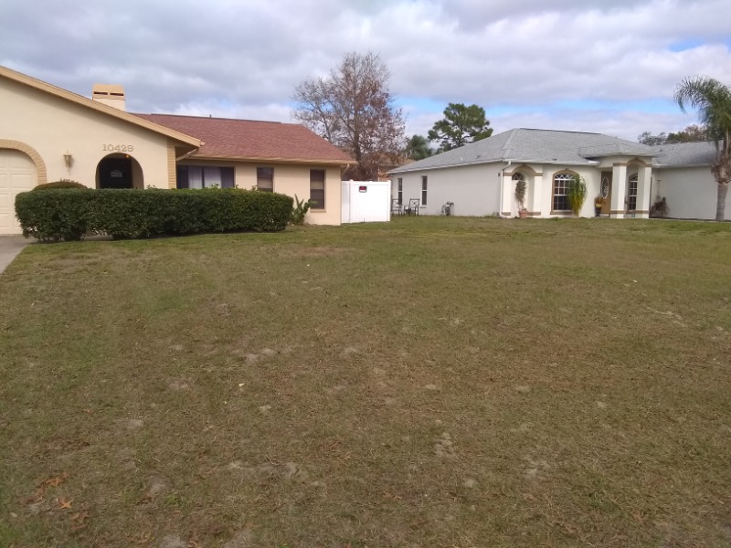 Graves Lawns And Lan Lawn Care Services in Spring Hill, FL