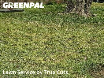 Grass Cutting nearby Del City, OK, 