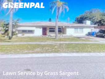 Lawn Cut nearby St. Petersburg, FL, 