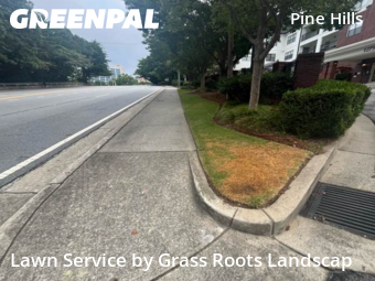 Grass Cutting nearby Atlanta, GA, 