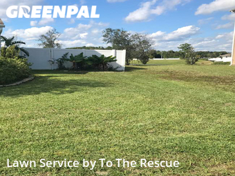 Lawn Cutting nearby Jacksonville, FL, 