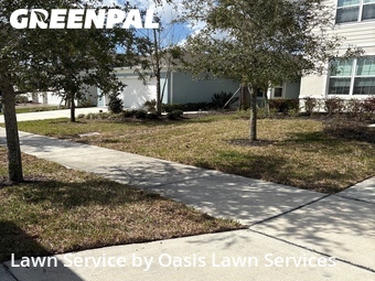 Grass Cut nearby Deland, FL, 